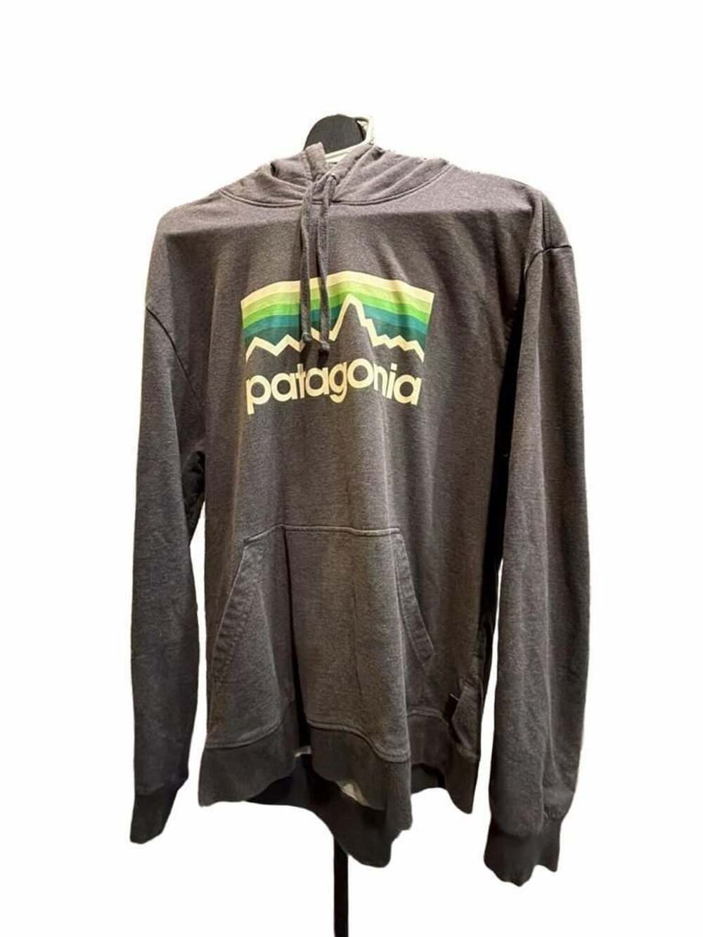 663 Patagonia Line Logo Ridge Midweight Hoodie Size M Gray Organic Cotton
